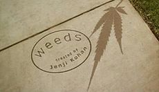weeds season finale download spoilers