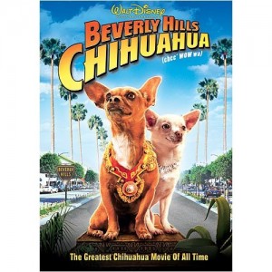 casting call audition for beverly hills chihuahua 2 by Disney