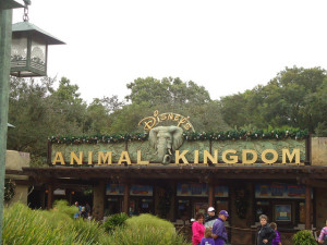 Animal Kingdom review at Walt Disney World #MyOrlandoStory