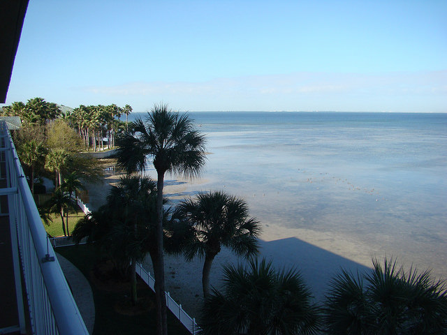 Bay Harbor Hotel Tampa Florida