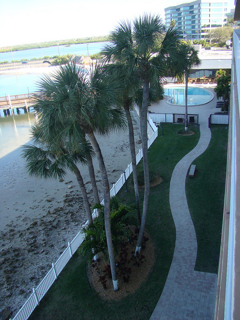 Bay Harbor Hotel Tampa Florida